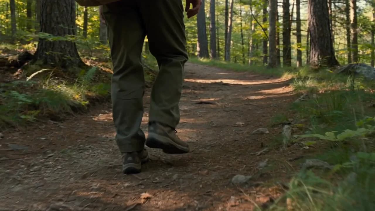 Hiking boots on a sunlit forest trail